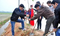 Đà Nẵng ra  quân “Tết trồng cây” năm 2014