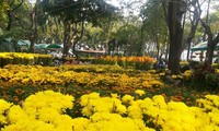  Hội hoa xuân lớn nhất thành phố Hồ Chí Minh với chủ đề “Thành phố tôi yêu”