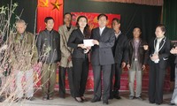 Phó Chủ tịch nước Nguyễn Thị Doan thăm, chúc Tết tại tỉnh Hà Nam 