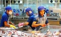Xây dựng chuỗi cung ứng cá tra, cá basa bền vững tại Việt Nam