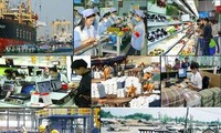 Khởi sắc xuất khẩu Việt nam 6 tháng đầu năm 2014