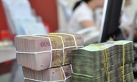 Dự kiến tăng trưởng tín dụng năm 2015 của Việt Nam đạt 13 - 15%