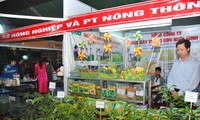 Nâng cao chất lượng, sức cạnh tranh và xây dựng được thương hiệu sản phẩm, hàng hóa Việt Nam