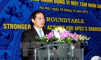 Việt Nam chuẩn bị toàn diện và đầy đủ cho Năm APEC 2017 