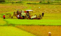 Việt Nam tái cơ cấu ngành nông nghiệp để hội nhập và phát triển 