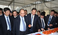  Phó Thủ tướng Nguyễn Xuân Phúc thăm và chúc Tết tại Hải Dương 