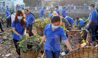 Các địa phương ở Việt Nam, hưởng ứng ngày Môi trường thế giới