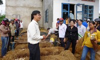 ActionAid Việt Nam hỗ trợ người nghèo xây dựng mô hình sinh kế bền vững 