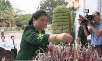 Phó Chủ tịch Quốc hội Tòng Thị Phóng thăm và làm việc tại Nghệ An