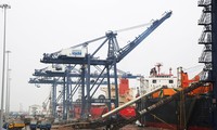 Gần 200.000 tấn hàng được cảng Cái Lân đón trong ngày đầu năm mới