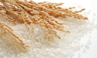 Việt Nam tiếp tục bán 1,5 triệu tấn gạo mỗi năm cho Philipines