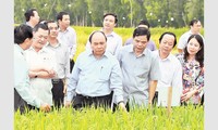 Thủ tướng Nguyễn Xuân Phúc thăm và làm việc tại tỉnh An Giang