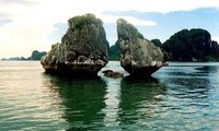 เวียดนามอนุรักษ์และส่งเสริมประโยชน์มรดกจากอ่าวฮาลอง