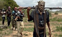 Niger kills 12 Boko Haram gunmen 