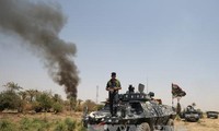 Hundreds of IS militants killed in airstrikes in western Iraq