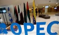 Kuwait backs call for talks on cutting oil output