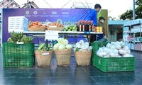Charity ‘zero-dong mini supermarket’ succors poor in HCM City