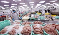 Vietnam’s seafood export on track to 9 billion USD mark in 2021