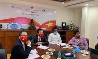 India seeks to pour 500 million USD into Vietnam pharmaceutical hub