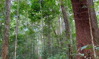 Two more biosphere reserves in Vietnam earn UNESCO recognition