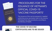 UK, US, Japan among five countries to accept Vietnam's COVID-19 vaccination certificates