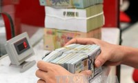 Overseas remittances to Vietnam increase as Tet approaches