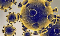 WHO explains Corona virus still evolving 