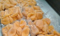 Vietnam promotes jackfruit exports to Australia