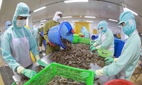 Vietnam's seafood exports earn 1.7 billion USD in 5 months 