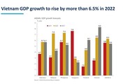 Vietnam’s growth to rise by 6.5% in 2022: ICAEW