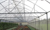 Dalat Flower Association and naval soldiers build agricultural greenhouses 