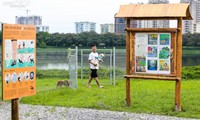 Hanoi's first park for pooches