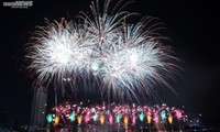 Hanoi, Da Nang to welcome Lunar New Year with epic firework shows