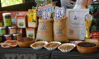 Buon Ma Thuot strives to become world’s coffee city