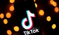 Ministry plans inspection of TikTok in May 