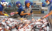 Japan becomes biggest importer of Vietnamese seafood