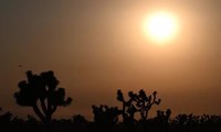 World could face record temperatures in 2023 as El Nino returns