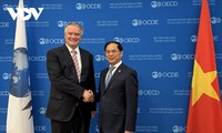 OECD pledges to help Vietnam reform growth model  