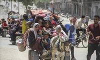 Indonesia's TNI readies planes for 1,000 injured Palestinian evacuees