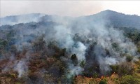 Forest fires grow in number and intensity around the world