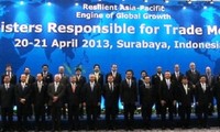เวียดนามมีส่วนร่วมอย่างแข็งขันในความสำเร็จของการประชุมAPEC