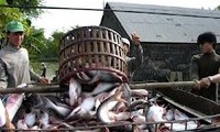 เวียดนามคัดค้านรัฐบาลสหรัฐที่บังคับใช้อัตราภาษีต่อต้านการขายทุ่มตลาดต่อผลิตภัณฑ์ปลาสวายของเวียดนาม