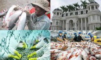 รัฐบัญญัติFarm Billของสหรัฐจะสร้างอุปสรรคให้แก่ปลาสวายของเวียดนาม