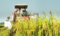 ขยายตลาด และเพิ่มมูลค่าการส่งออกของผลิตภัณฑ์เกษตรเวียดนาม
