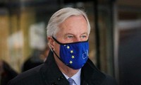 Британия и ЕС приостановили переговоры по Brexit из-за коронавируса