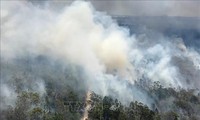 Лесной пожар в Австралии уничтожил половину уникального острова Фрейзер
