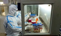 В Ханое зафиксировано еще 6 ввозных случаев заражения коронавирусом