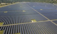 Вьетнам входит в тройку лучших стран по переходу к возобновляемым источникам энергии в регионе