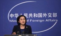 Китай упрекнул Запад за сомнения в выводах миссии ВОЗ об источнике COVID