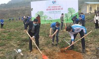 Jugendverband startet Monat zum Baumanpflanzen 2021 